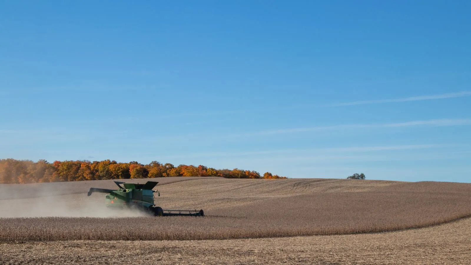 Combine harvester working in an autumn soybean field under a clear blue sky.