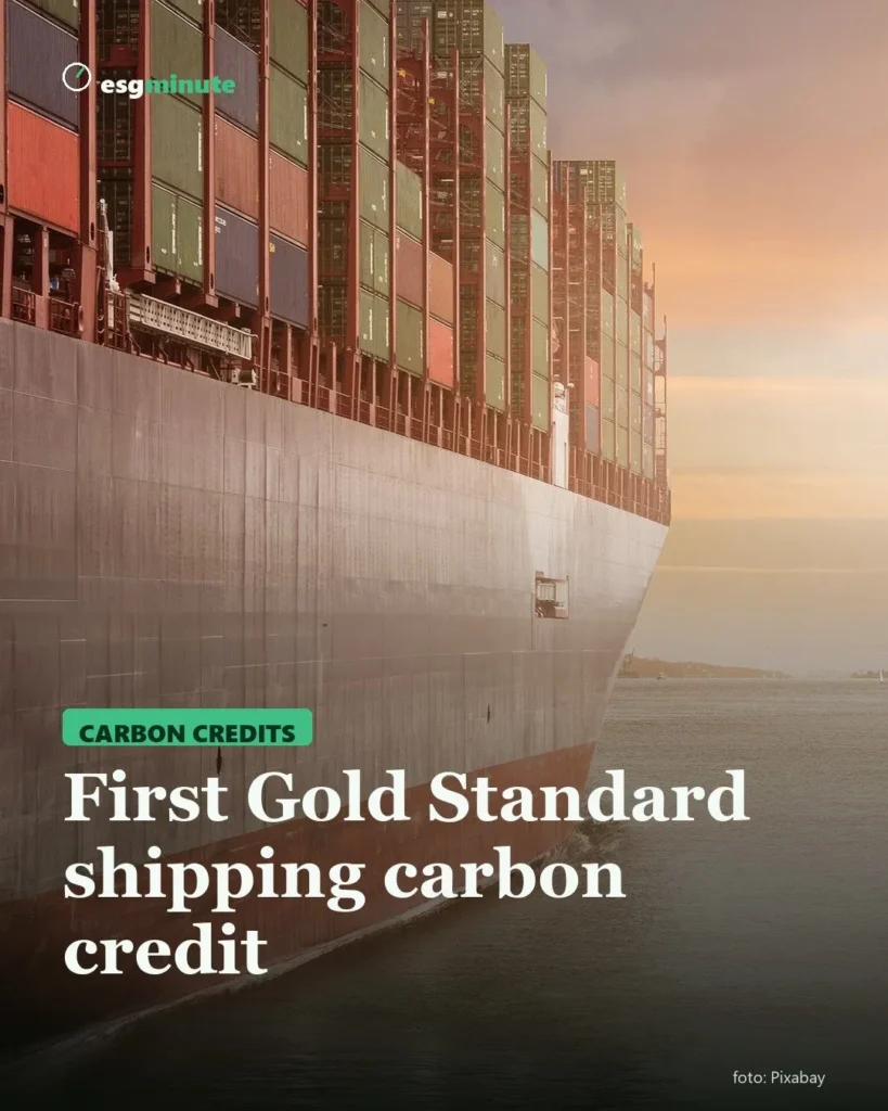 Container ship loaded with cargo at sea at sunset, cover for the first Gold Standard carbon credit for shipping