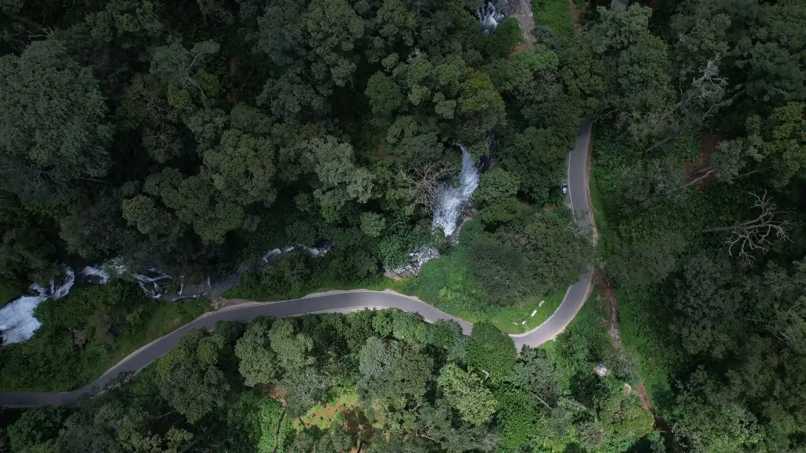 Drone shot capturing a winding road through lush green forest in Kerala, India.