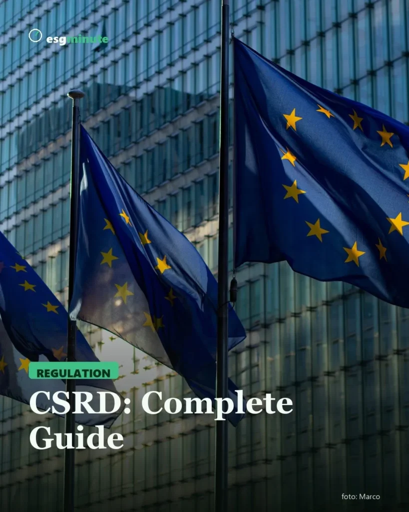 CSRD: Complete Guide