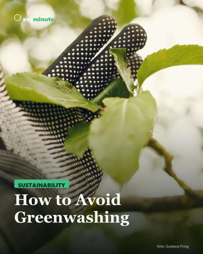 How to Avoid Greenwashing