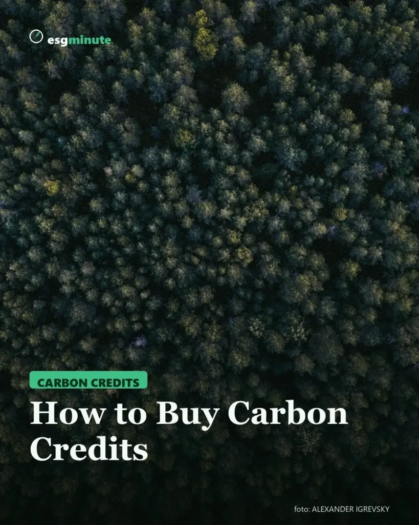 How to Buy Carbon Credits