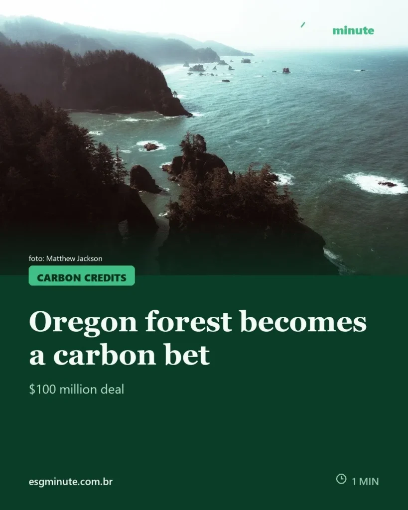 Investment Firm Buys 29,000-Acre Oregon Forest for Carbon and Timber
