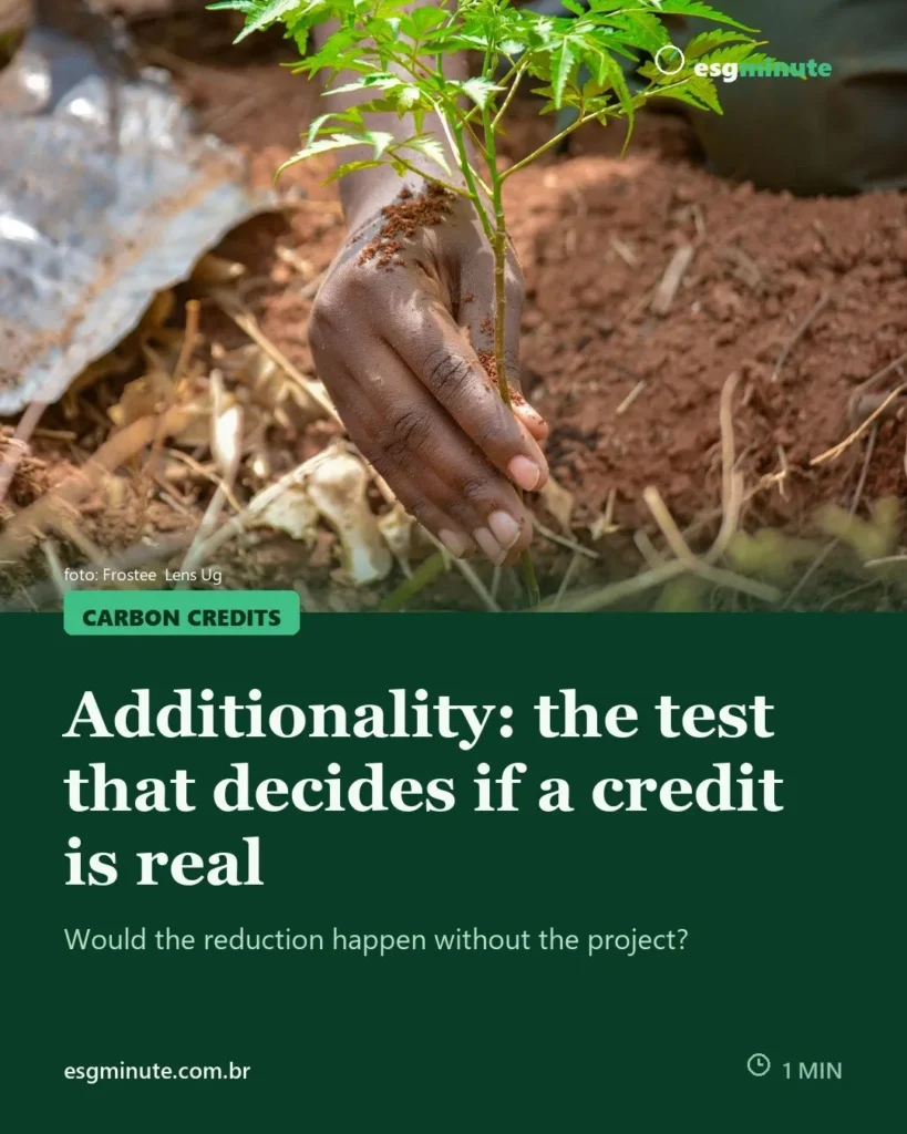 Additionality in carbon credits: what it is and why it is the key test