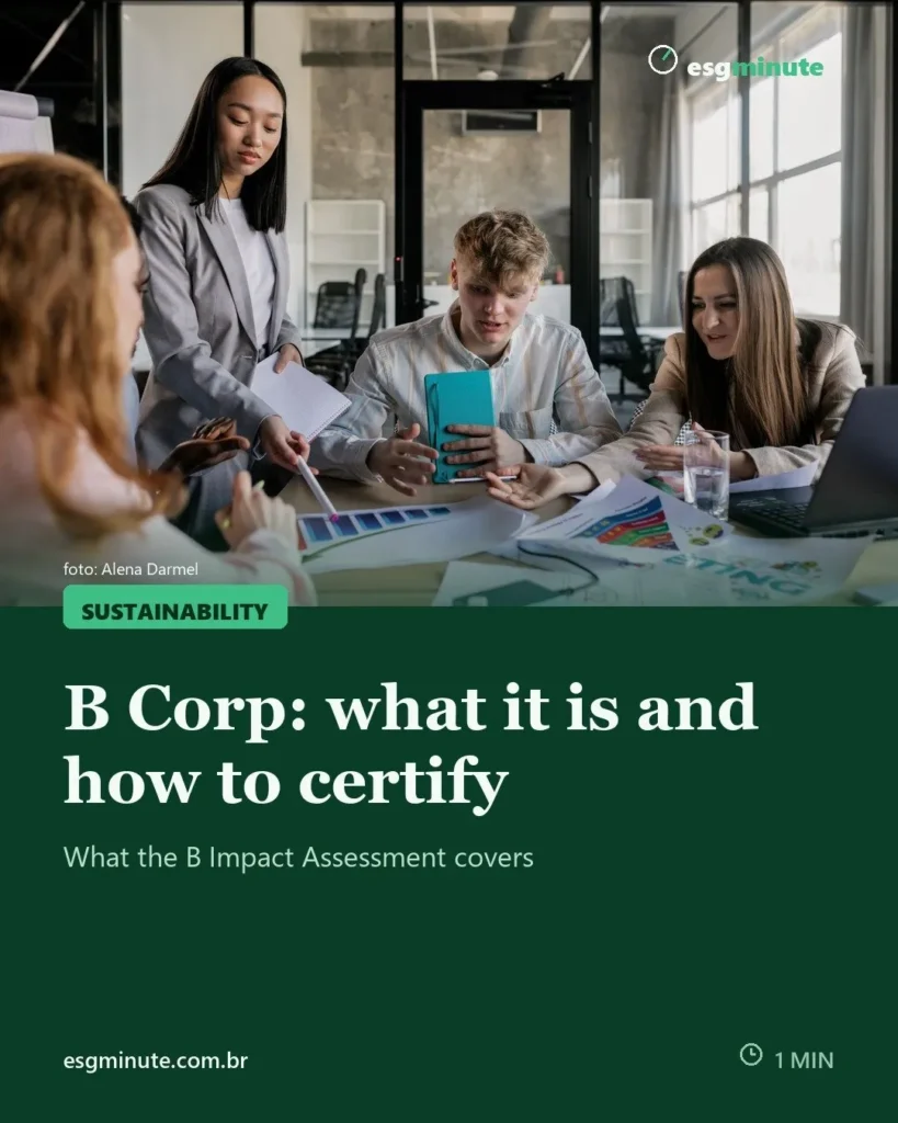 B Corp: what it is and how to certify your company
