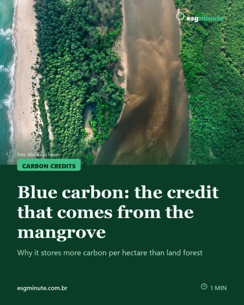 Blue carbon credits: mangroves, wetlands and ocean carbon