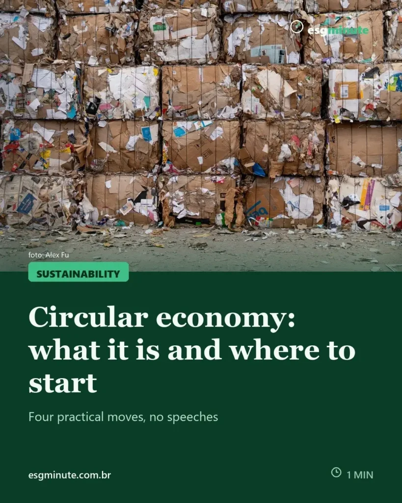 Circular economy: what it is and how to apply it in your company