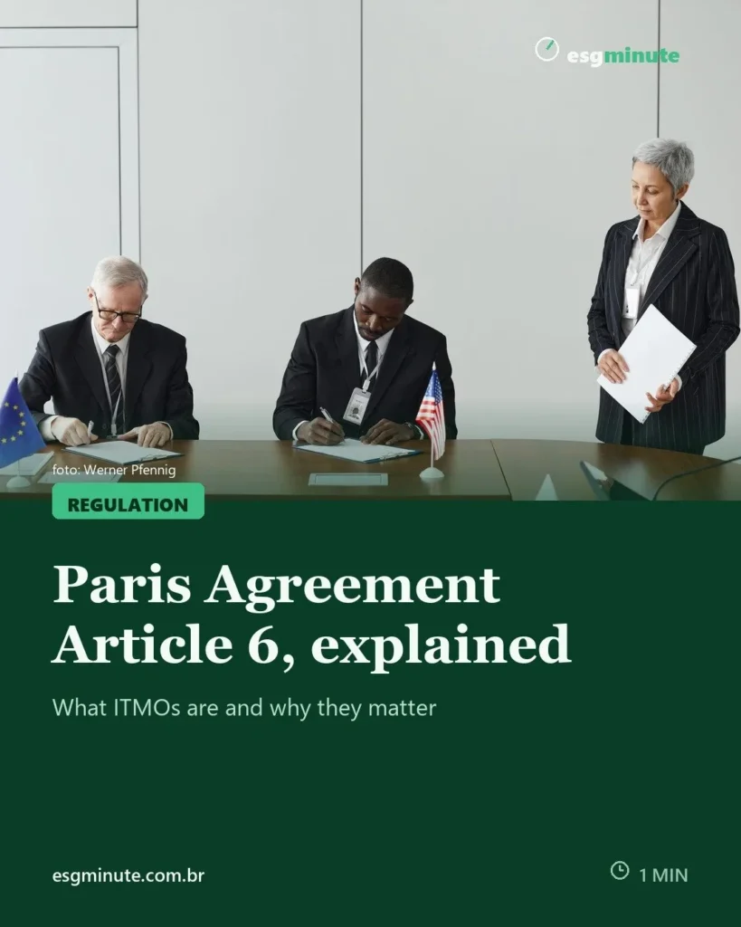 Paris Agreement Article 6 explained: what it changes in carbon markets