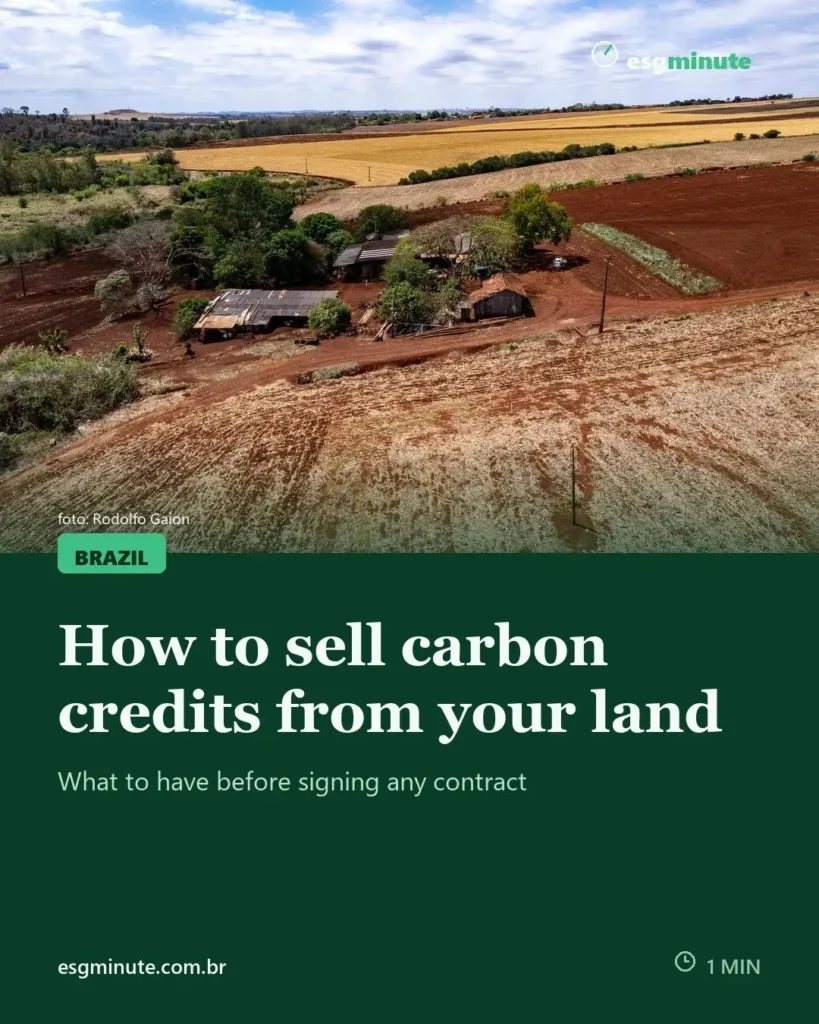 How to sell carbon credits from your land: what it takes