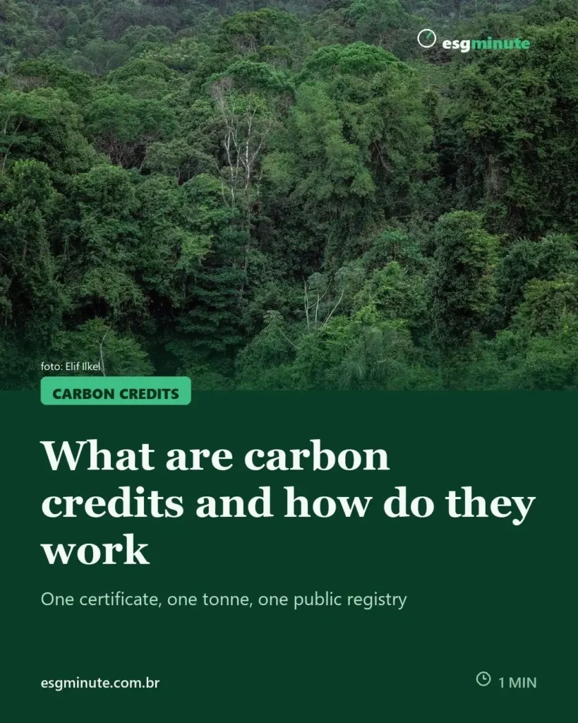 What are carbon credits and how do they work?