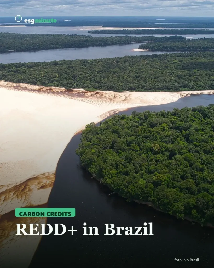 REDD+ in Brazil