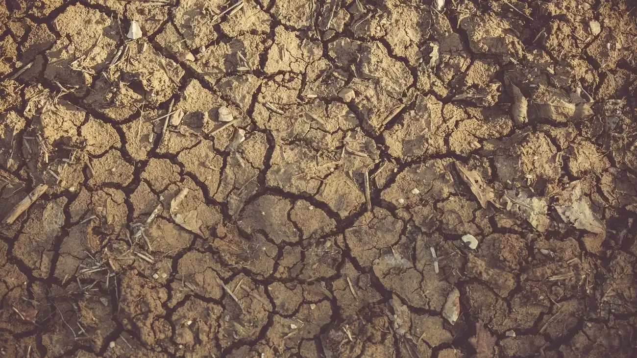 Close-up of cracked, arid soil showing detailed textures and patterns, indicative of drought conditions.