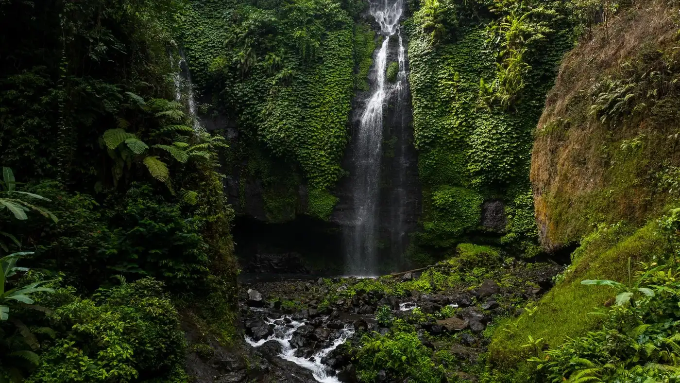 A tranquil waterfall cascading through a dense green jungle, creating a serene atmosphere.