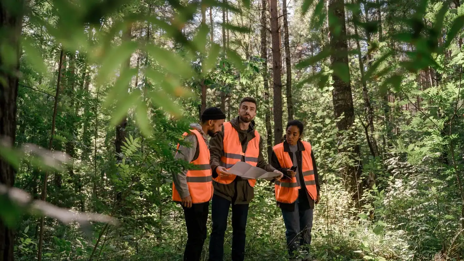Three adults in safety vests examining a map in a lush forest setting, emphasizing teamwork.